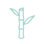 Sugar Cane